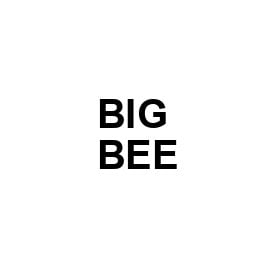 Big Bee